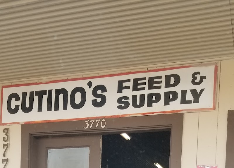 Photo of Cutino's tire center