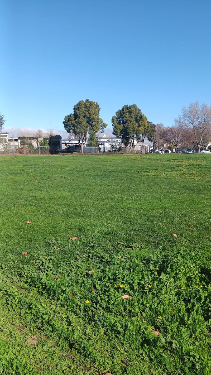 Suisun City Library photo 2