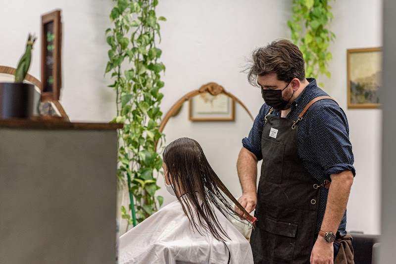 Fringe & Fern Collective photo 5