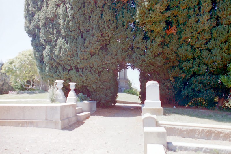 St John's Cemetery photo 3