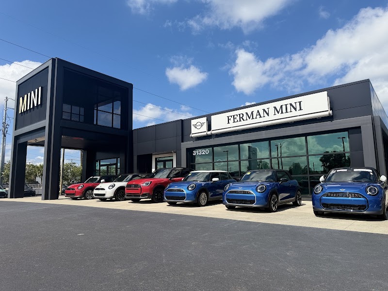Photo of Ferman MINI of Tampa Bay
