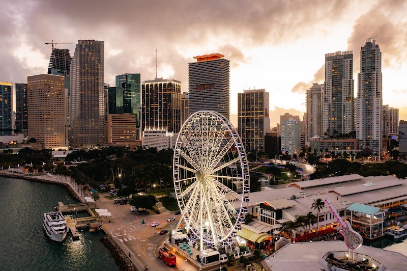 Photo of Skyviews Miami Observation Wheel
