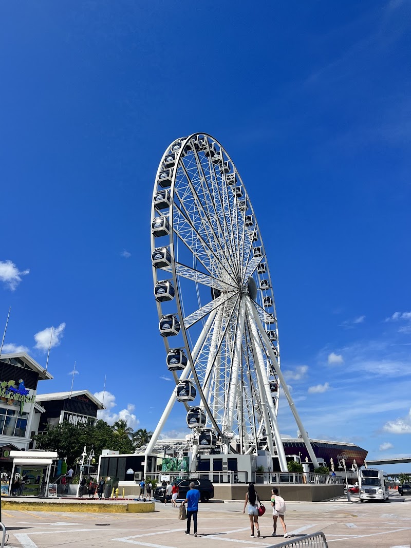 Skyviews Miami Observation Wheel photo 2