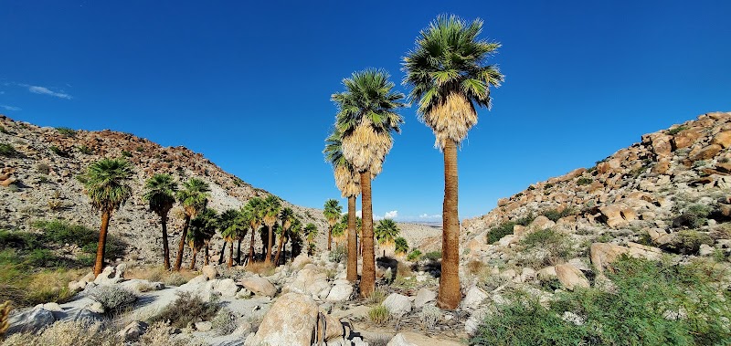 Photo of Anza-Borrego Desert State Park