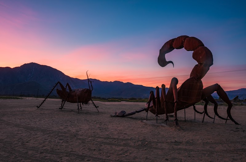 Anza-Borrego Desert State Park photo 5