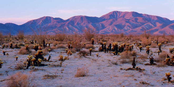 Anza-Borrego Desert State Park photo 4
