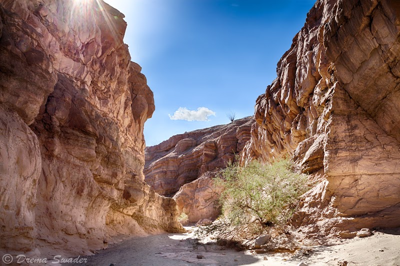 Anza-Borrego Desert State Park photo 2
