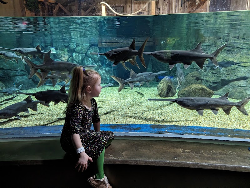 OdySea Aquarium photo 4