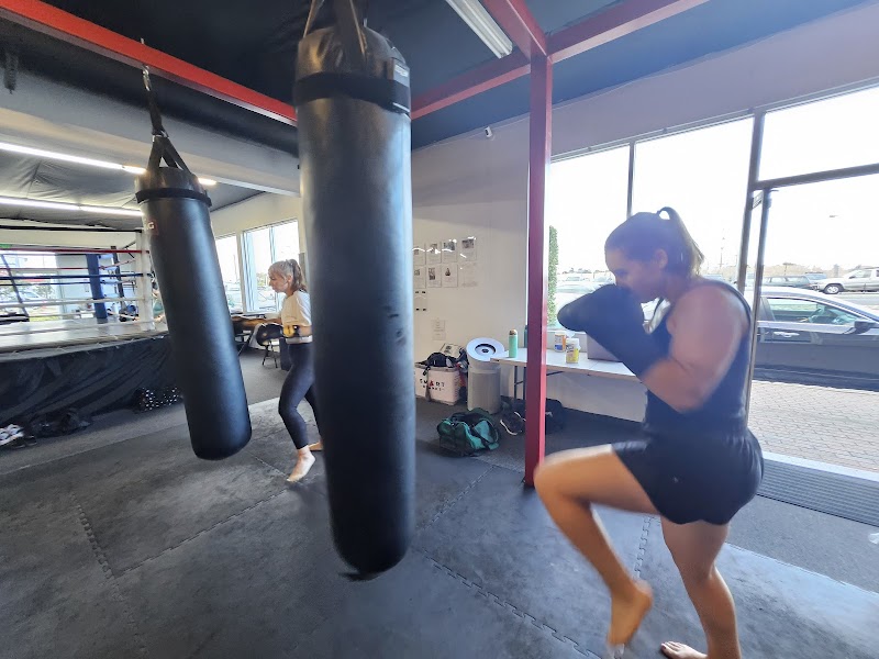 Bay Area Boxing photo 3