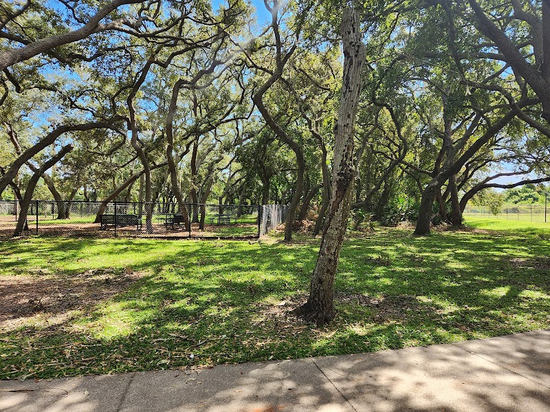 Safety Harbor City Park photo 4