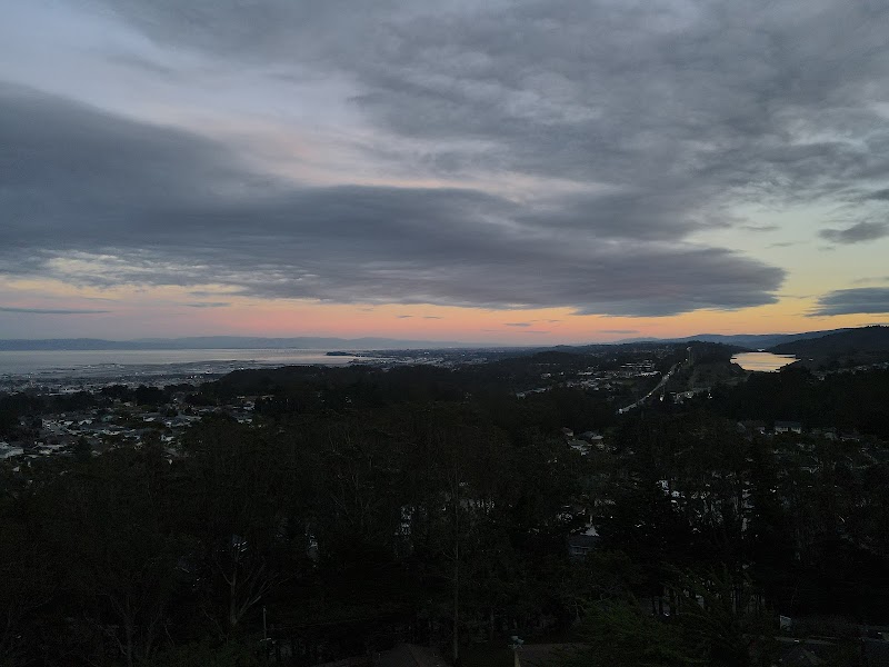 Pacific Heights Park photo 4