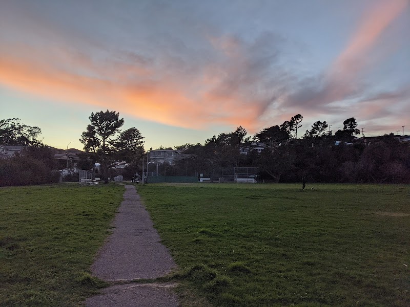Pacific Heights Park photo 2
