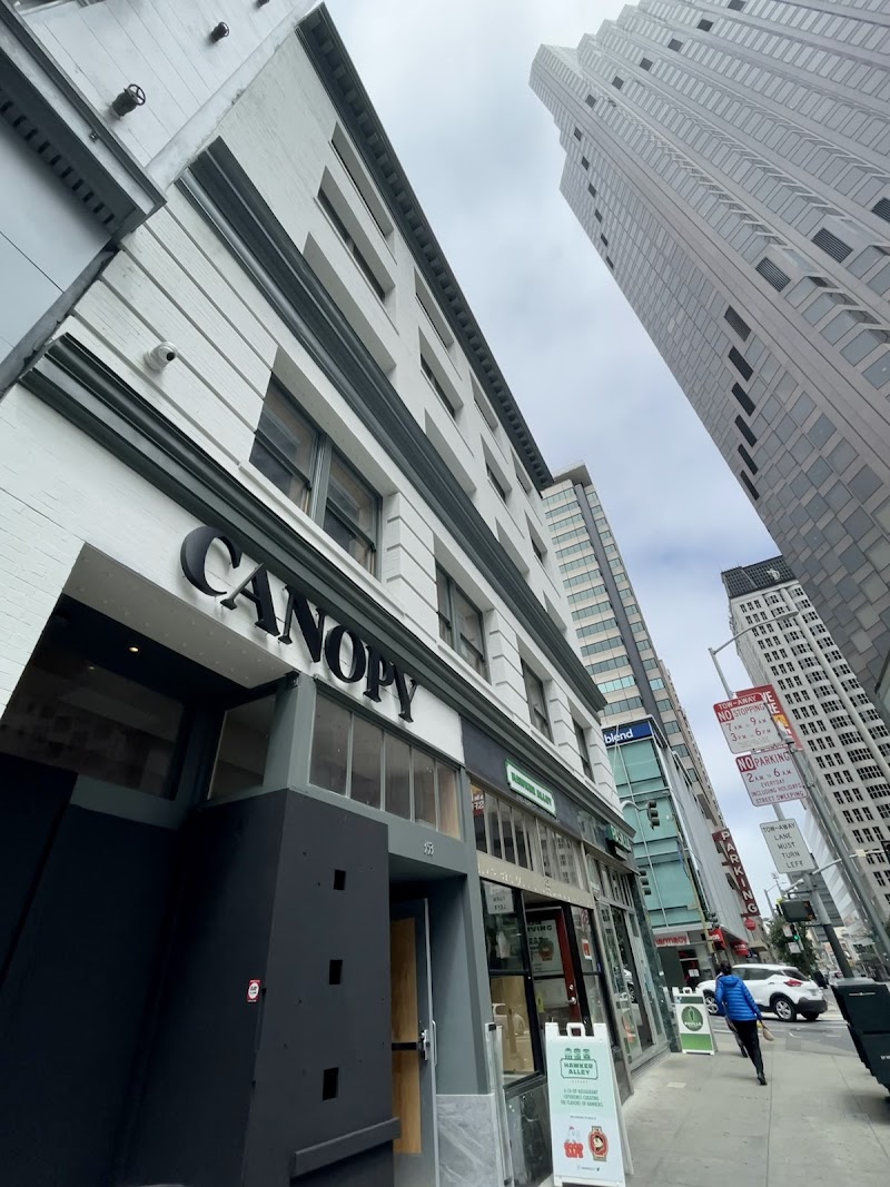 CANOPY Financial District photo 5