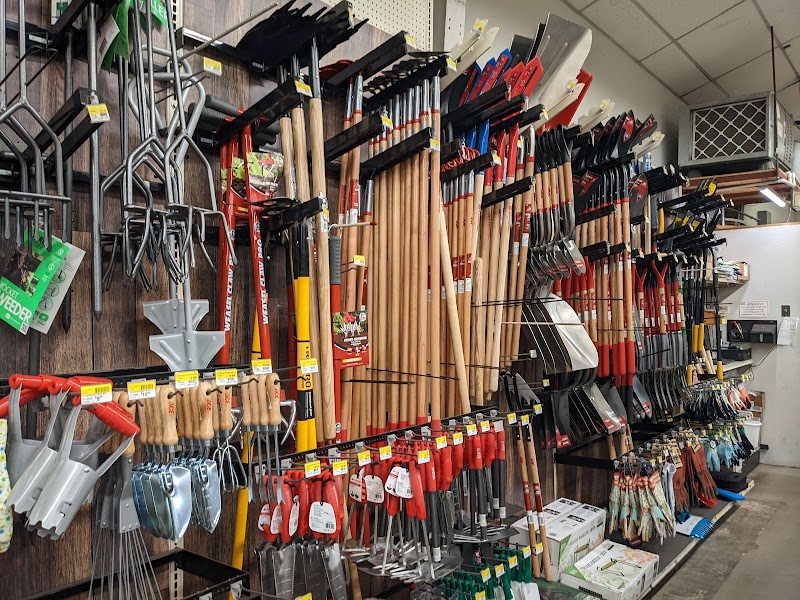 Davis Ace Hardware photo 3
