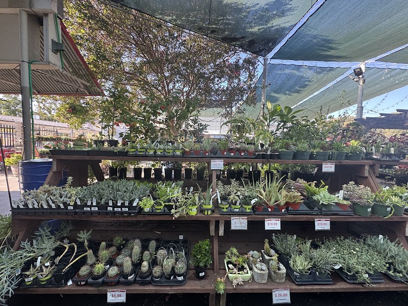 Davis Ace Hardware photo 4