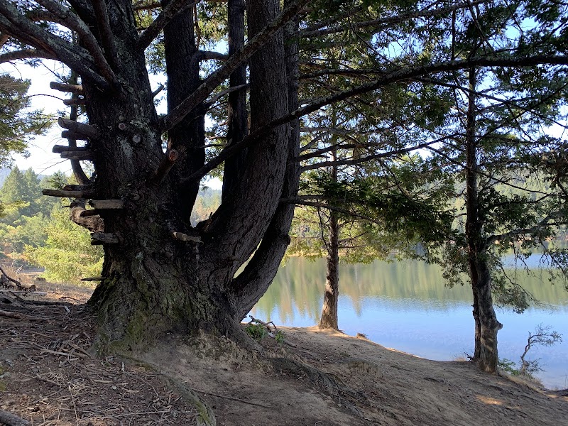 Lake Lagunitas Parking Lot photo 5