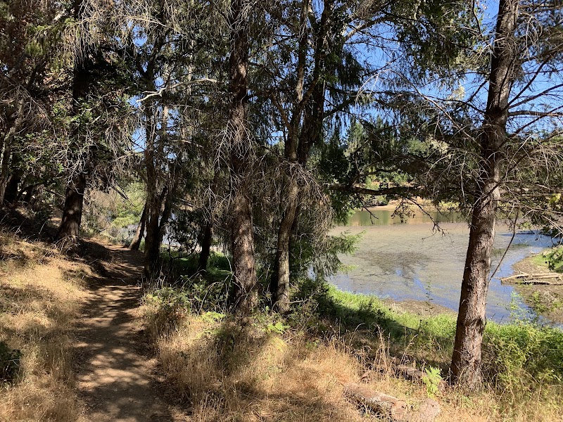 Lake Lagunitas Parking Lot photo 4