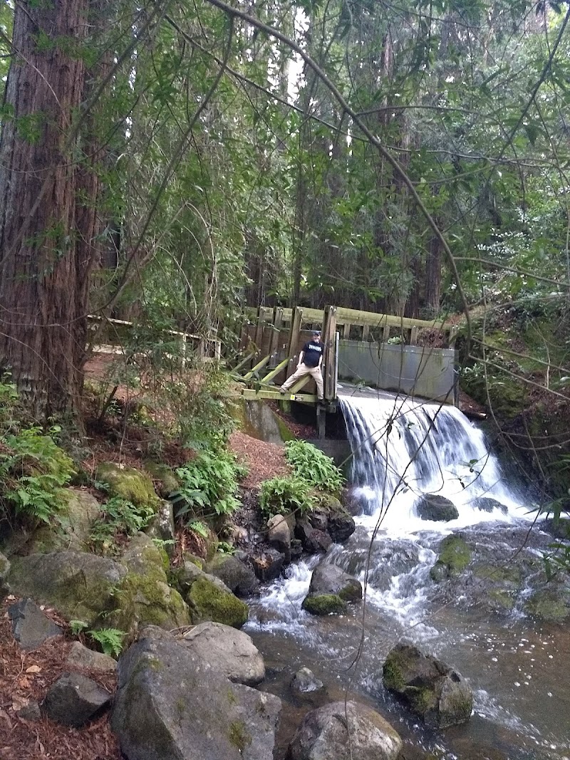Photo of Lake Lagunitas Parking Lot