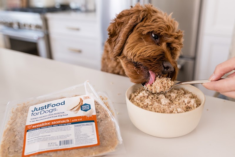 Just Food For Dogs photo 5