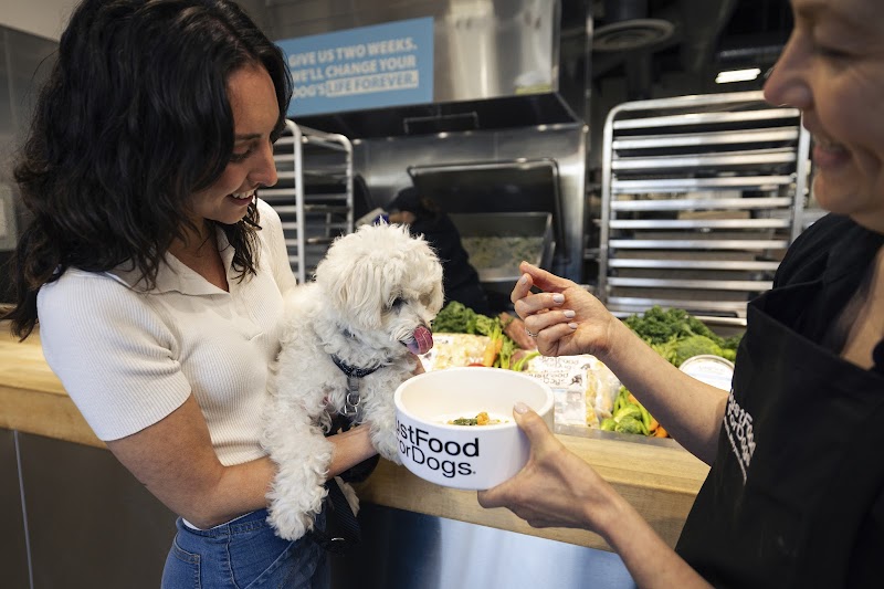 Just Food For Dogs photo 2