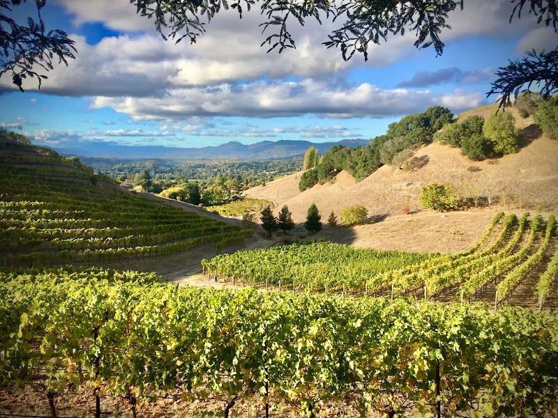 Photo of Porter Family Vineyards
