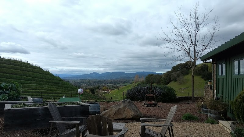 Porter Family Vineyards photo 4