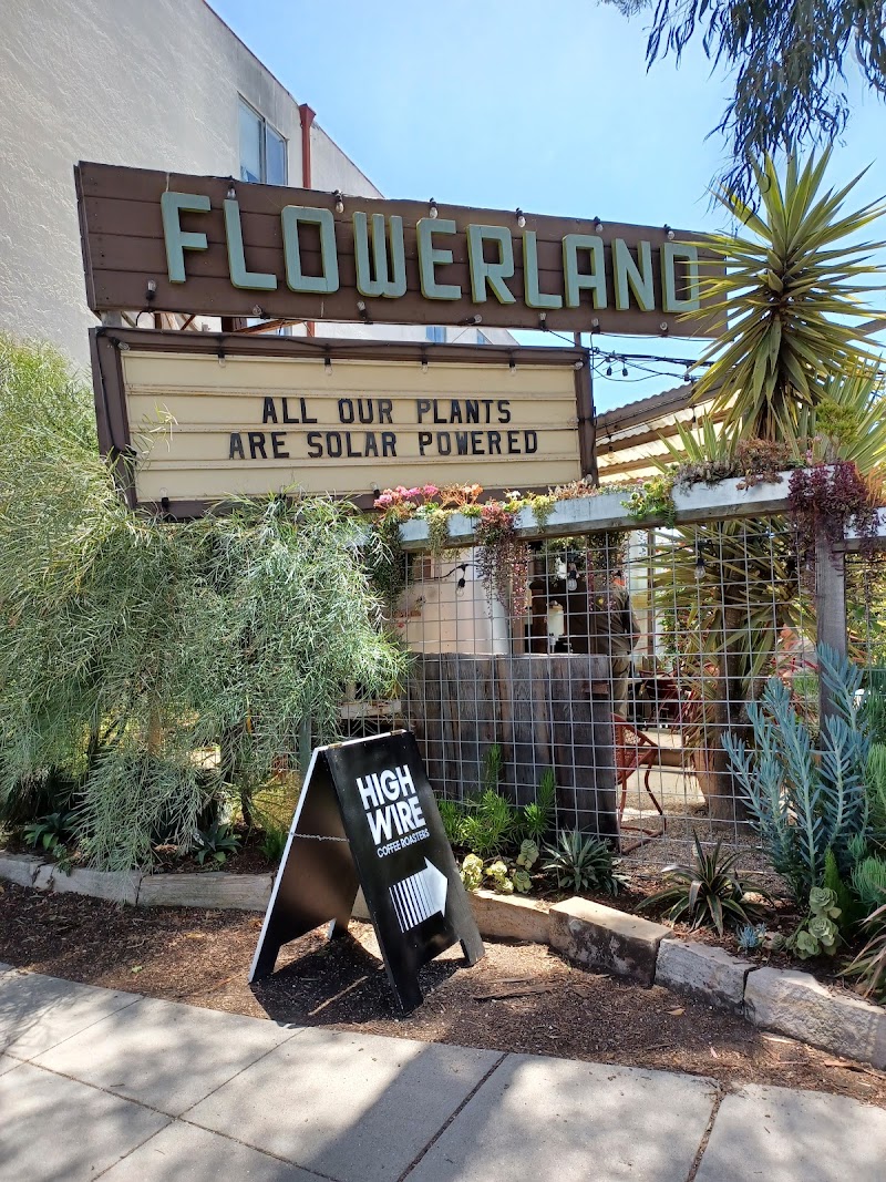 Photo of Highwire Coffee Roasters