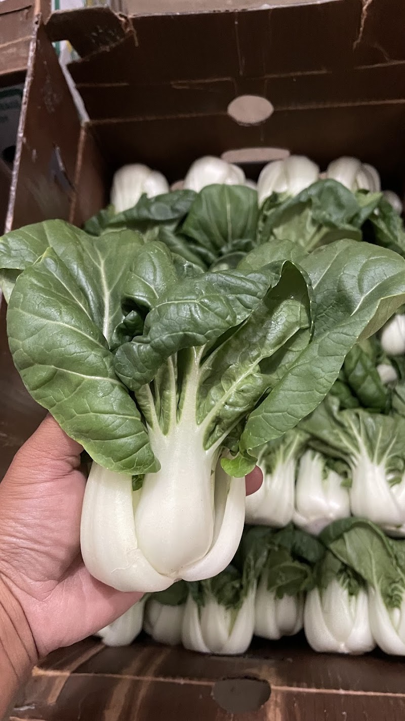Photo of K & J （Only Vegetables）