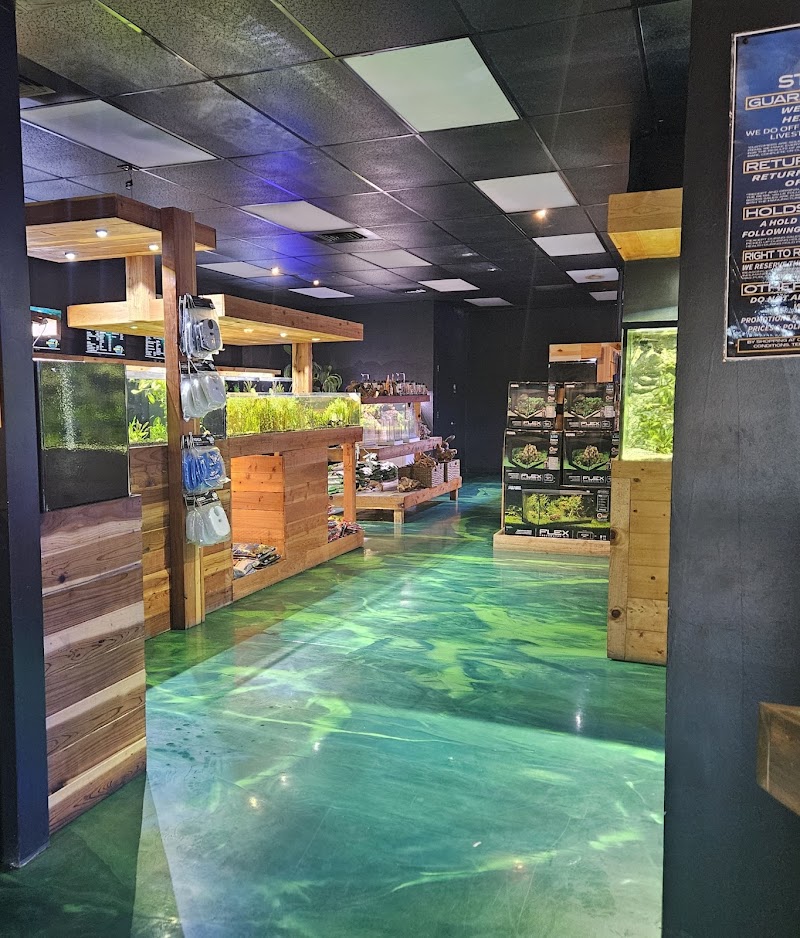 Kona Reef Az - Surprise photo 4