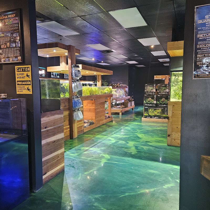 Photo of Kona Reef Az - Surprise