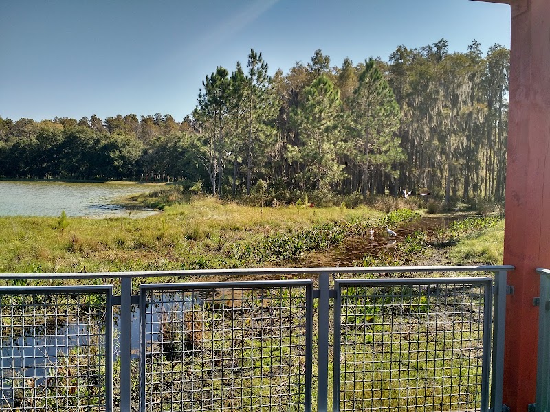 Heart Pine Pond Overlook photo 5