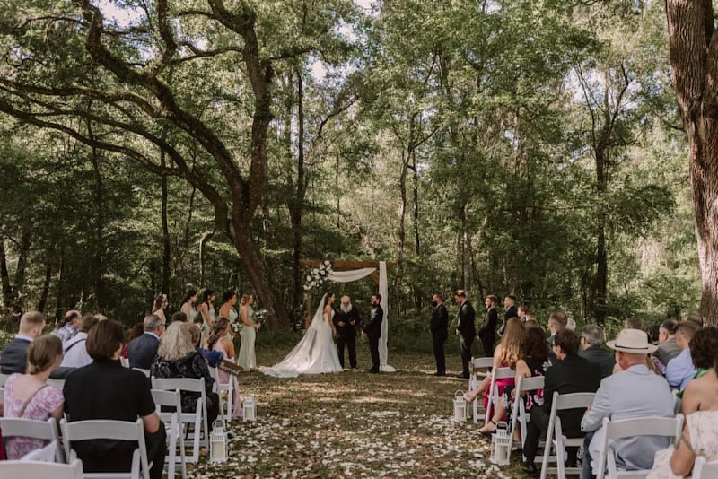 October Oaks photo 3