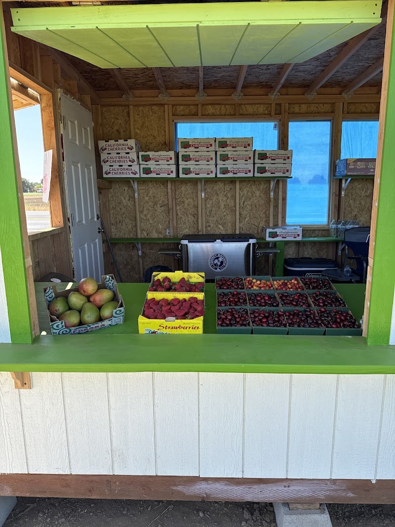 Fruit Shack photo 2