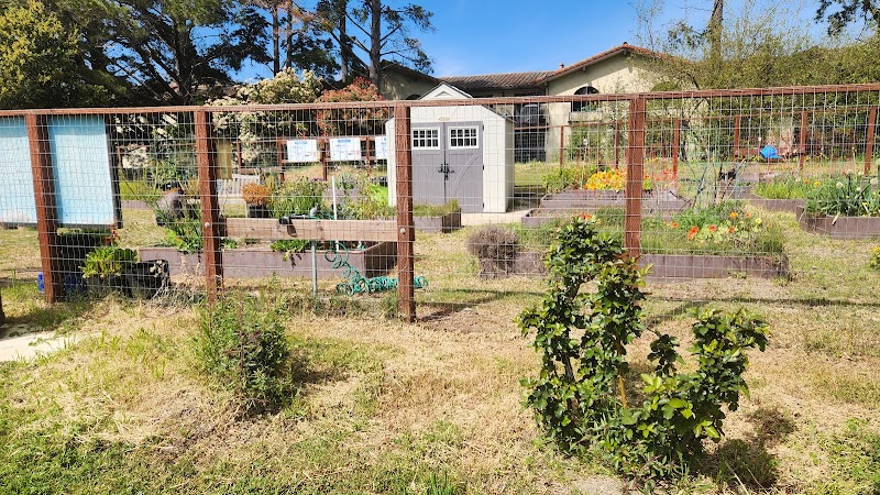 Millbrae Community Garden photo 4