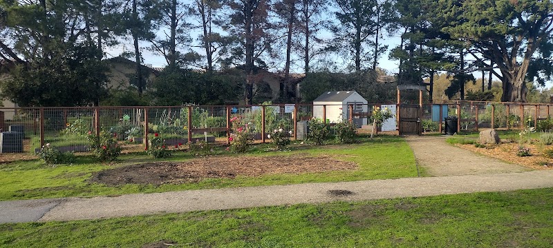 Millbrae Community Garden photo 3