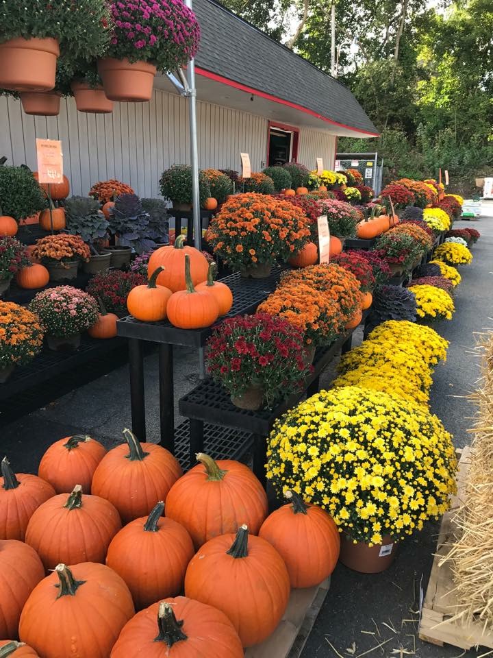 Robinson's Hardware photo 5