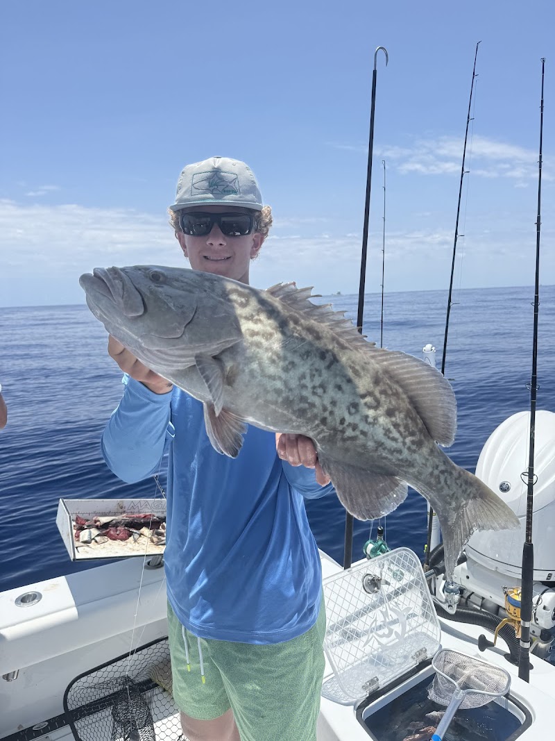 Just Fish photo 2