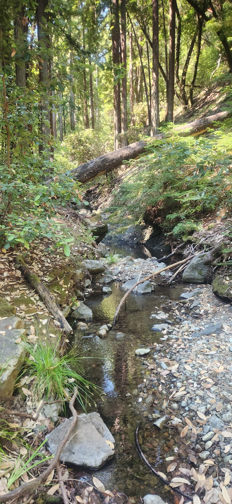 Collier Springs Trailhead photo 4