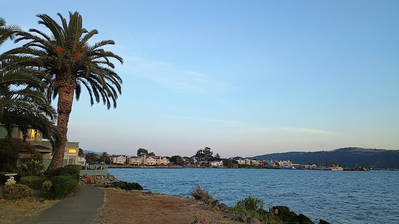 Voena photo 3