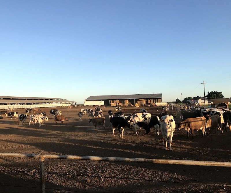 Uly’s Dairy photo 4