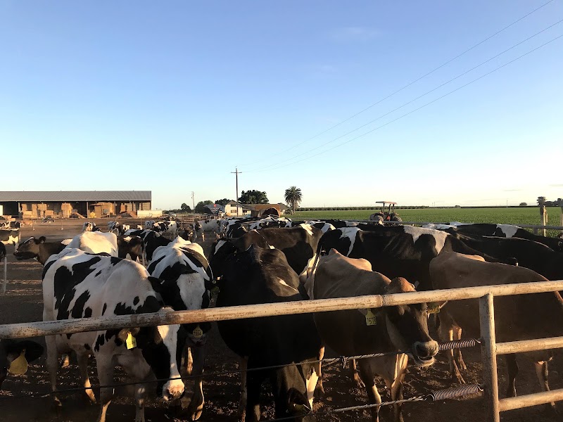 Photo of Uly’s Dairy