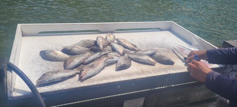 Wish Upon A Fish Charters photo 4