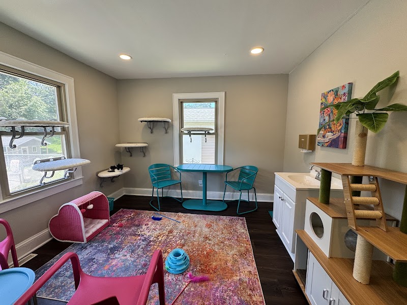 Photo of Whiskerville Kitty Cat Cafe