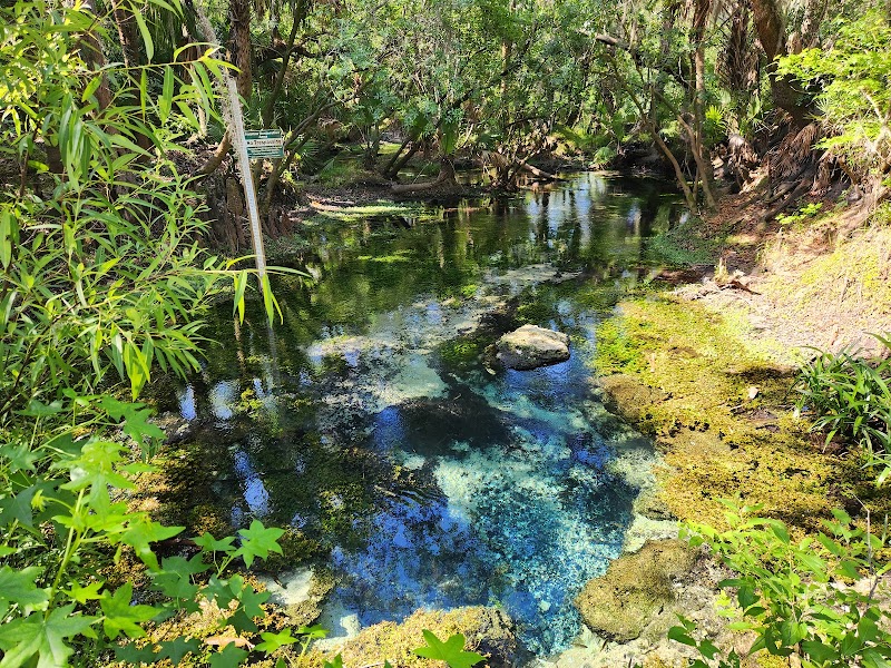 Photo of Lithia Minor Springs Preserve