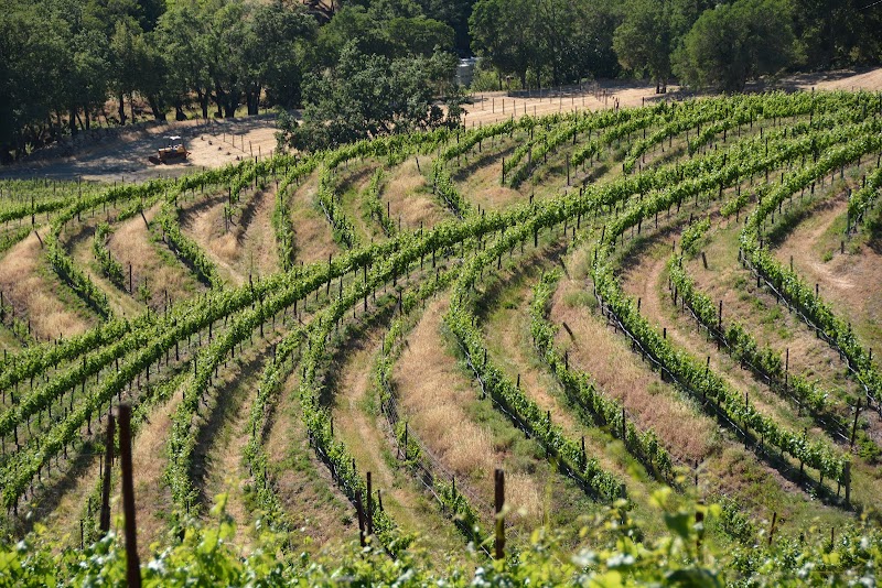 Photo of Jericho Canyon Vineyard