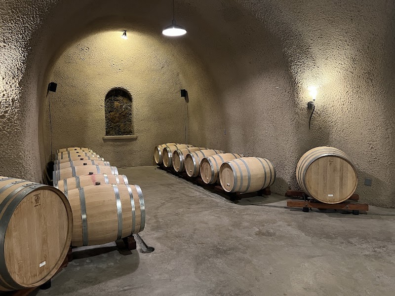 Jericho Canyon Vineyard photo 3
