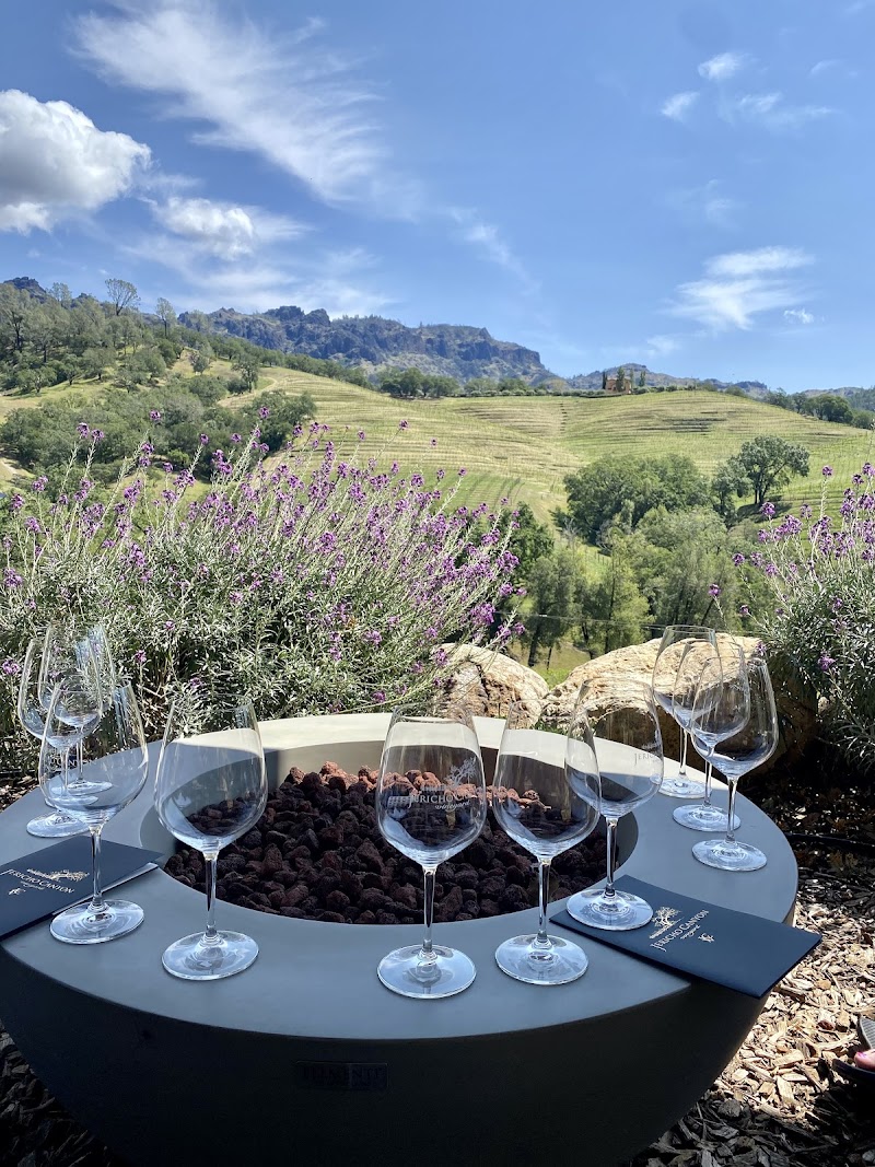 Jericho Canyon Vineyard photo 4