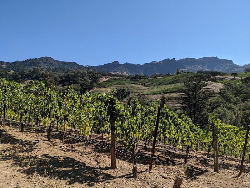 Jericho Canyon Vineyard photo 2
