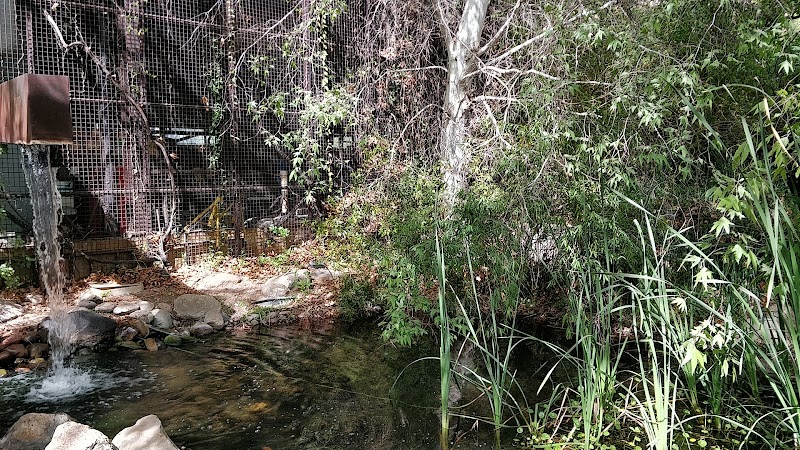 Underwood Family Sonoran Landscape Laboratory photo 5