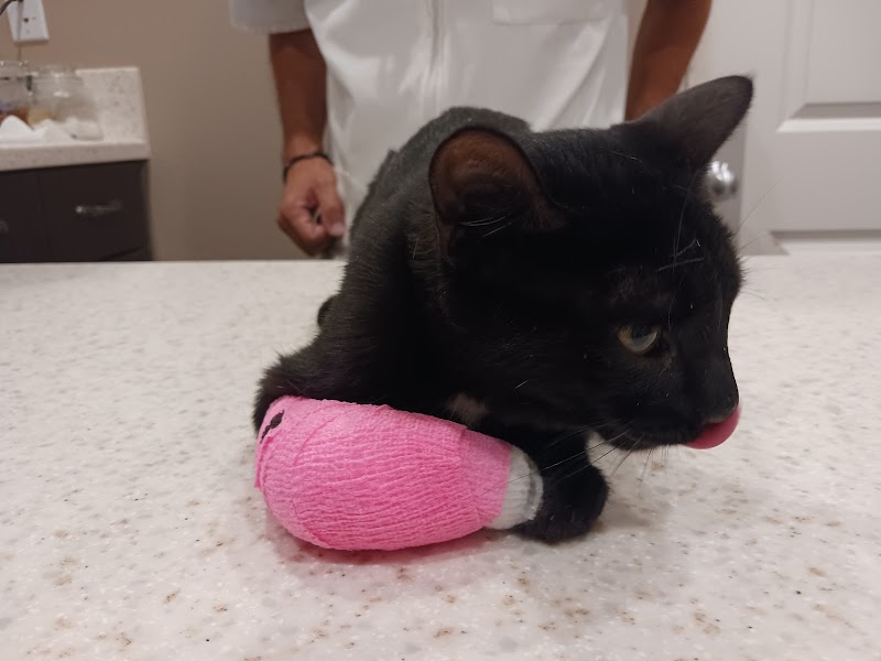 Animal Care Center-Pasco County: Reeves Kenneth DVM photo 4